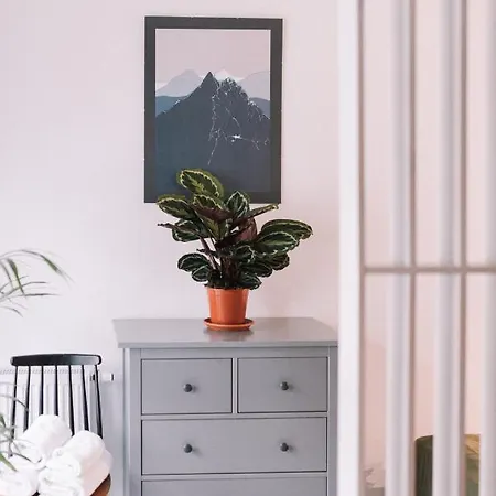 Old Town Mieszczanska 15min Walk From Main Square Breslau