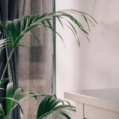 Old Town Mieszczanska 15min Walk From Main Square