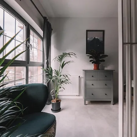 Old Town Mieszczanska 15min Walk From Main Square Apartment Breslau